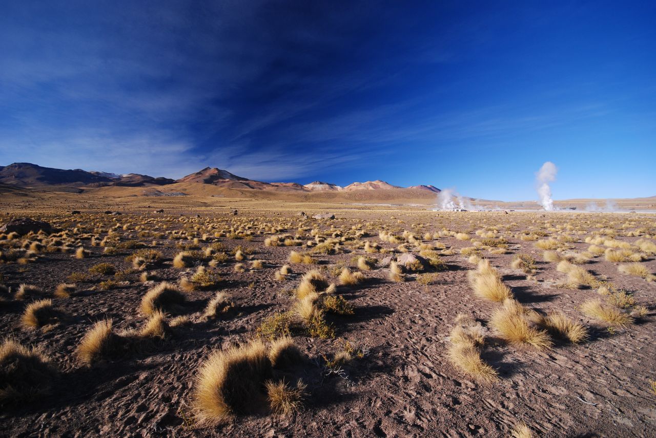 The_geyser_(fumaroles)_of_El_Tatio_and_the_Andes_in_the_background.jpg