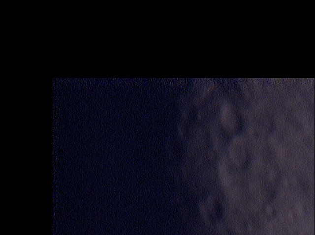 111.jpg