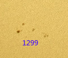 1299.jpg