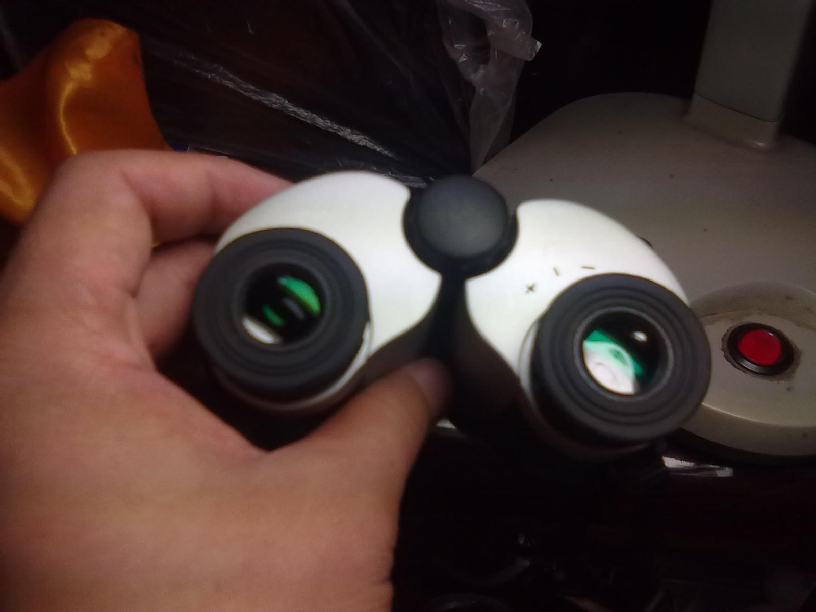 20110917009.jpg