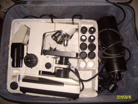 ALIM0260.jpg