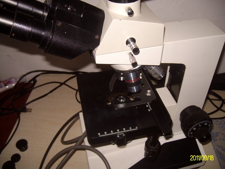 ALIM0263.jpg