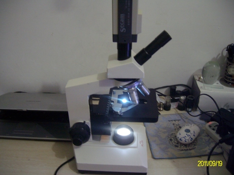 ALIM0268.jpg