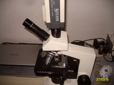 ALIM0270.jpg