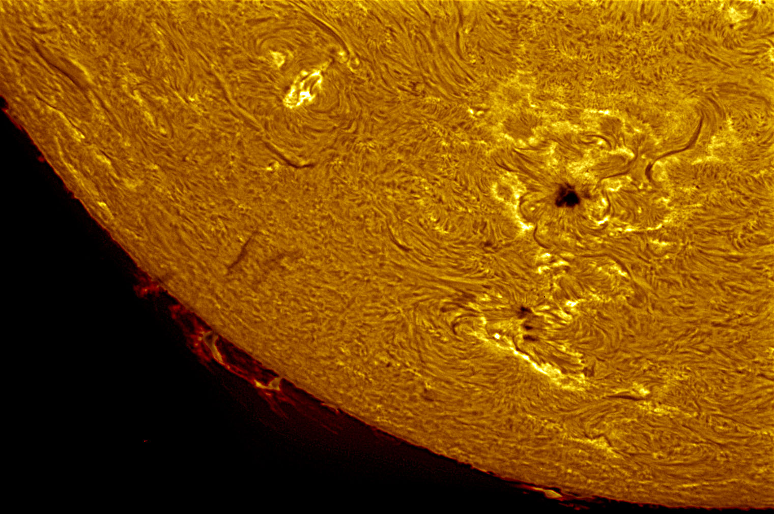 sun_image4.jpg