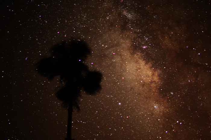 DSC_0174.jpg