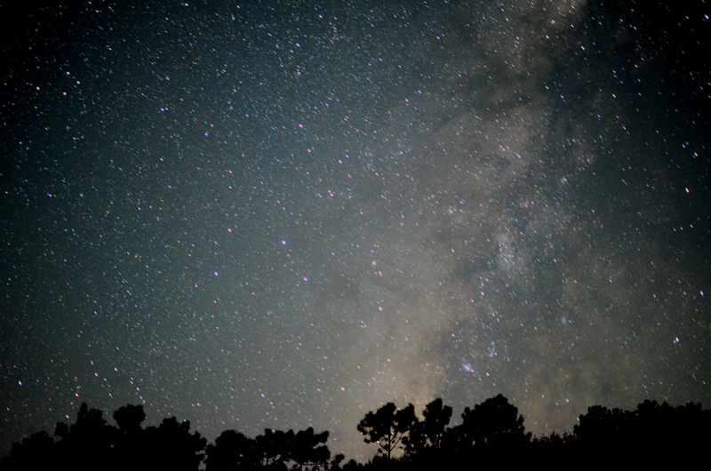 DSC_5670.jpg