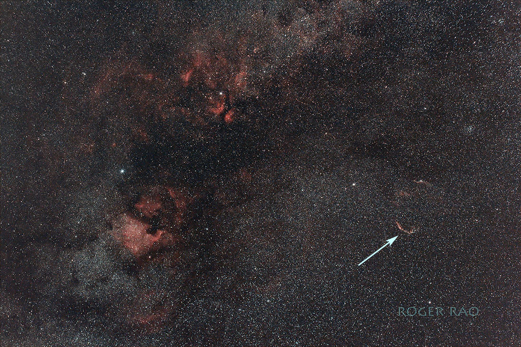 cyg.jpg