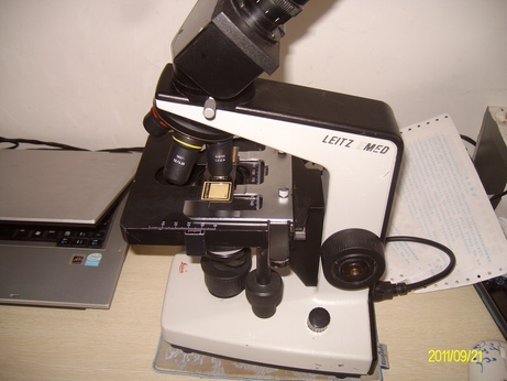 ALIM0301.jpg