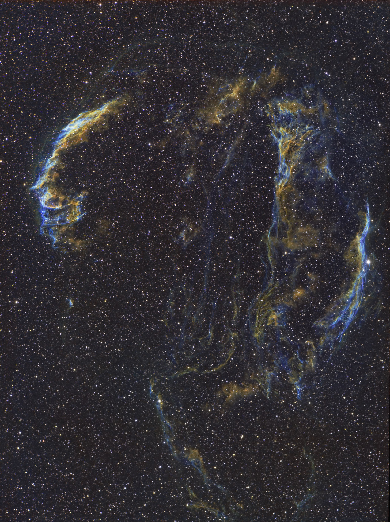 网状星云-MF.jpg