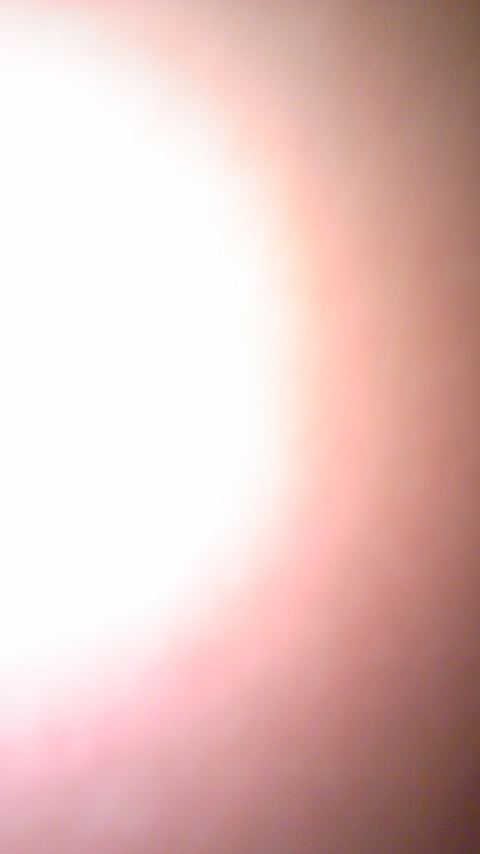 DVC00090.JPG