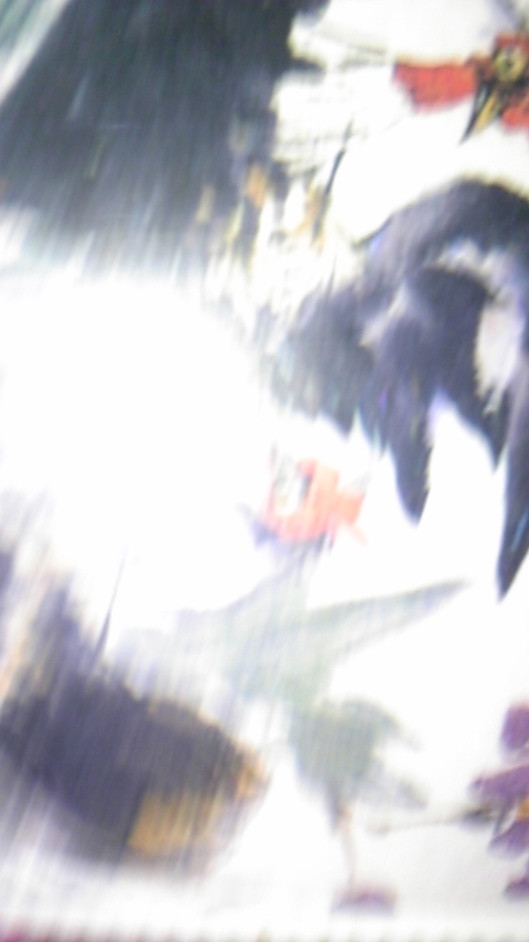 DVC00092.JPG