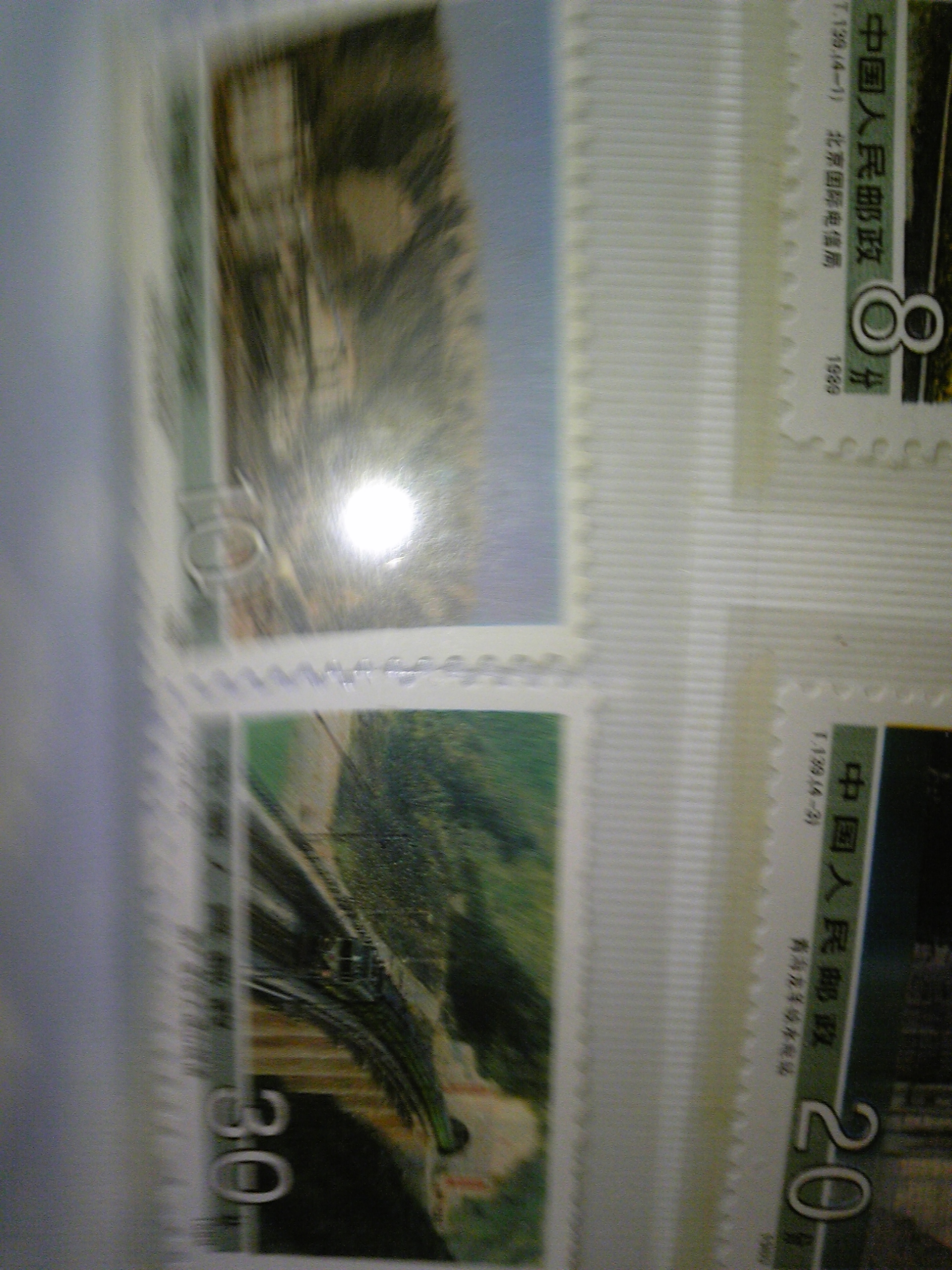 DVC00027.JPG