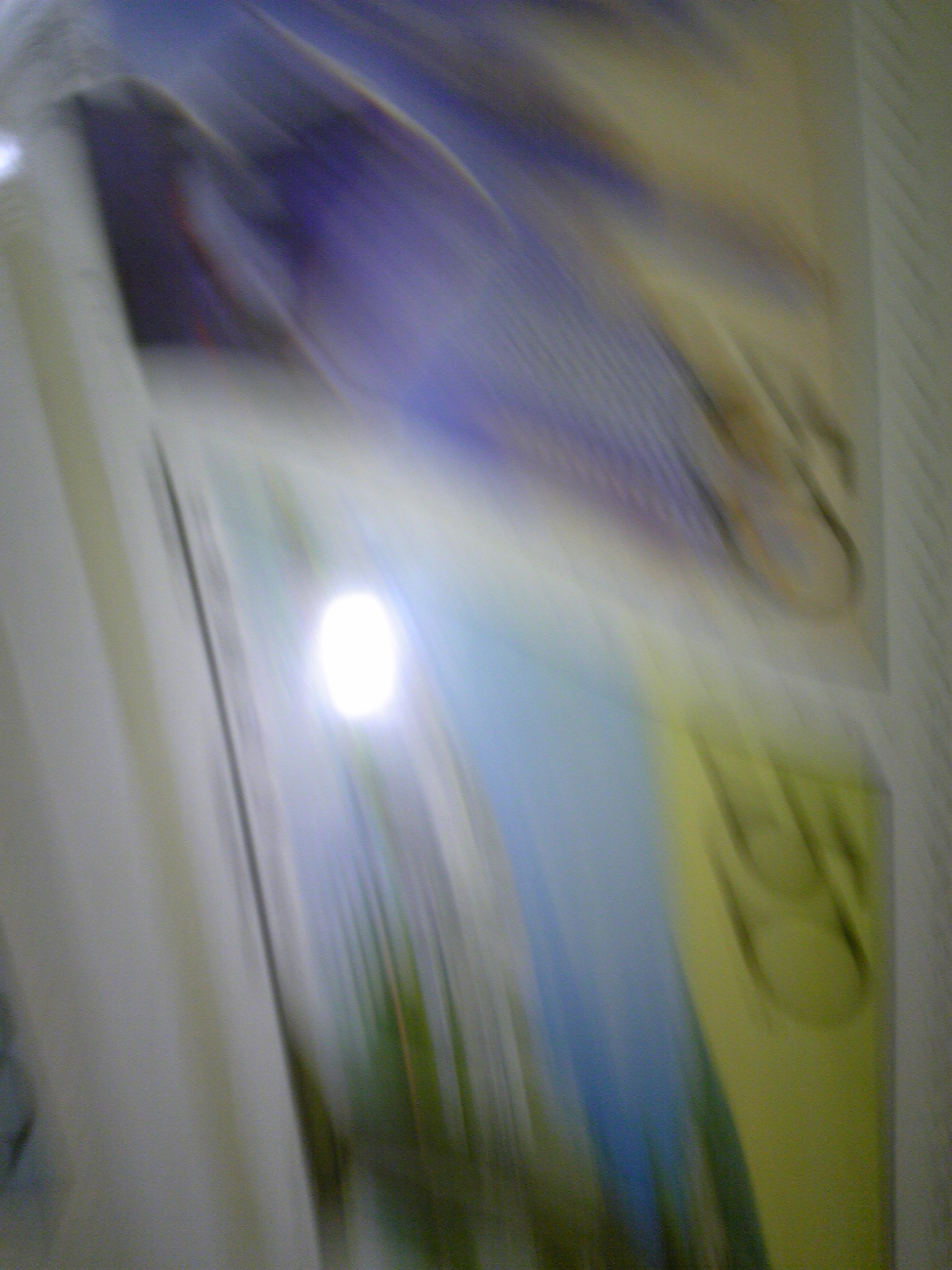 DVC00030.JPG