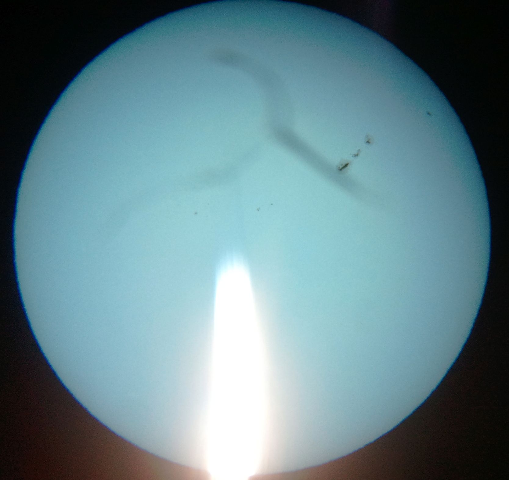 2011-09-26 14.36.23.jpg