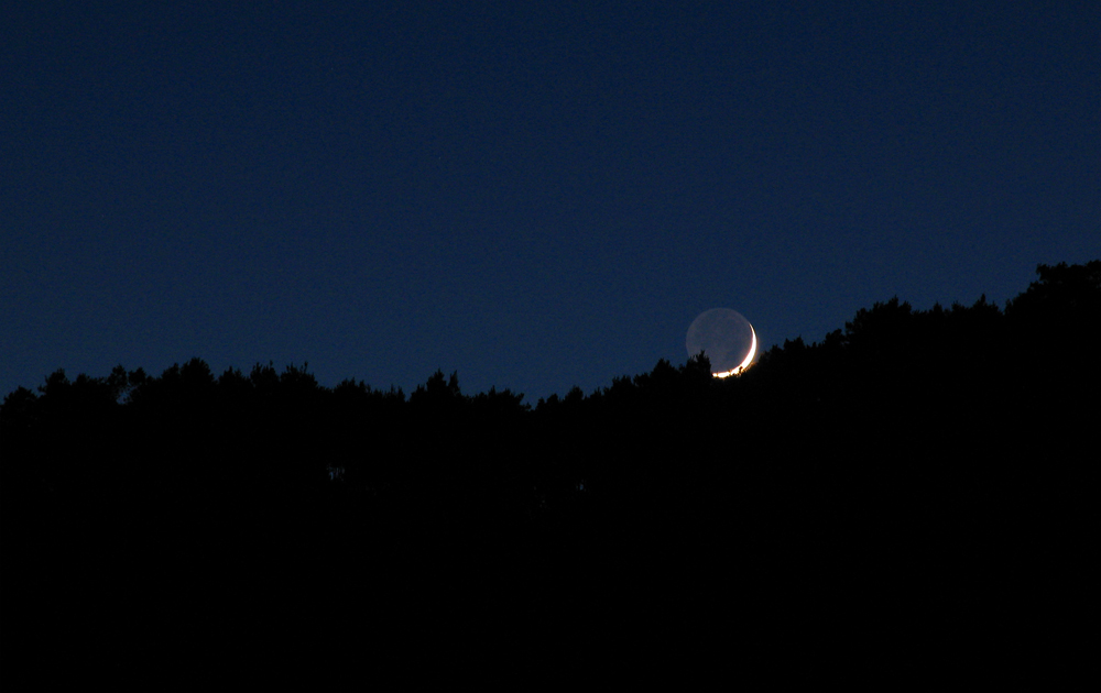 moon4.jpg