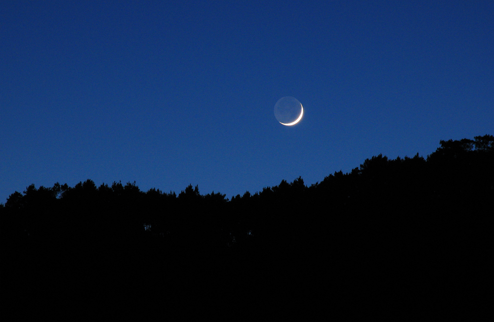 moon2.jpg