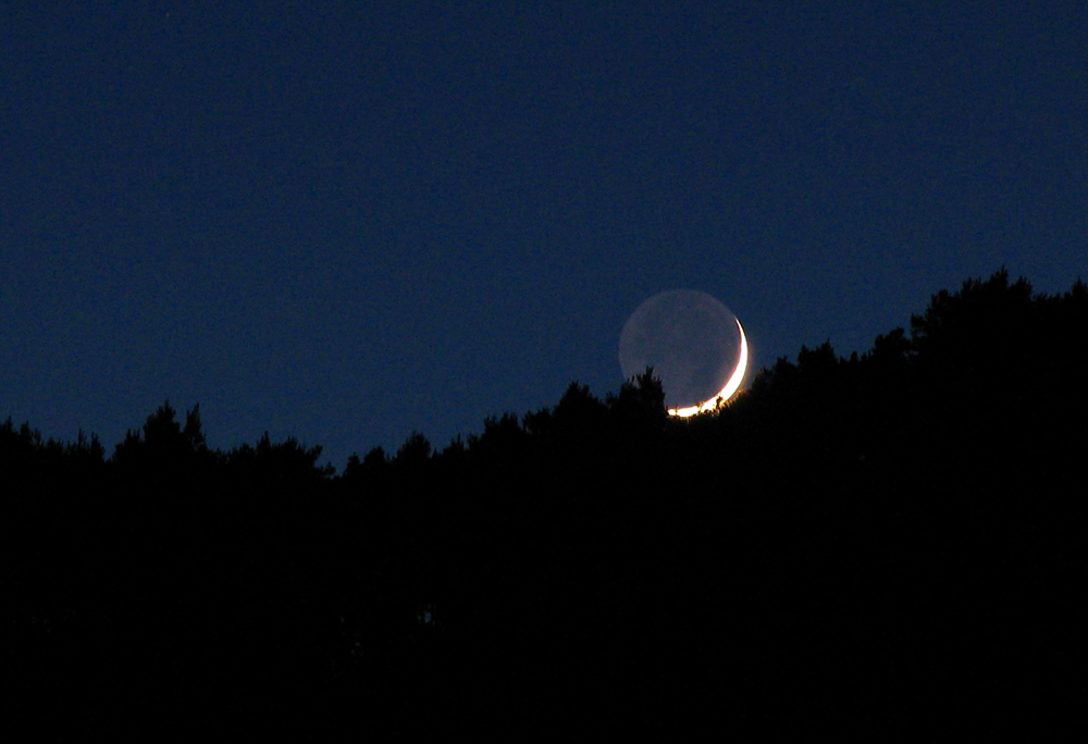 moon3.jpg