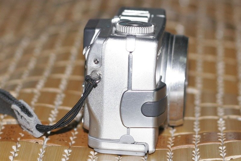 _MG_3393.JPG