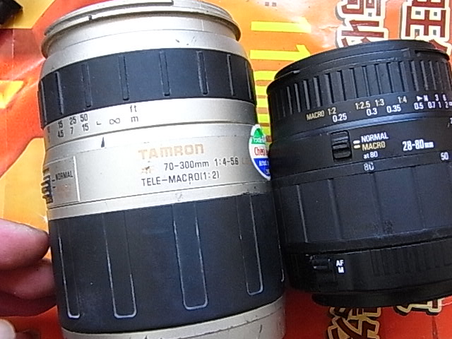 R0053438.JPG