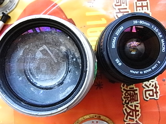 R0053439.JPG