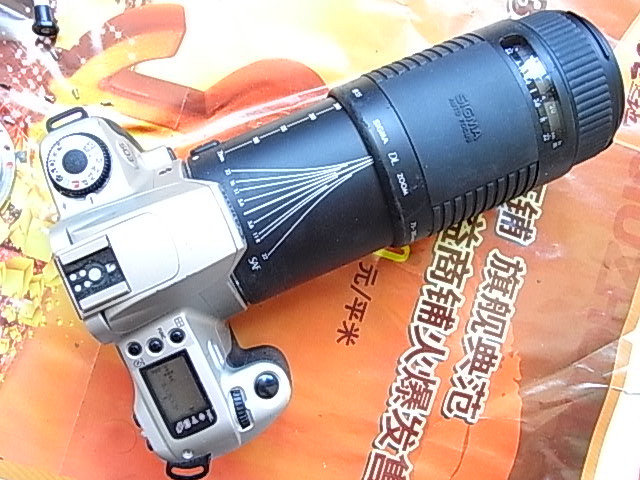 R0053425.JPG