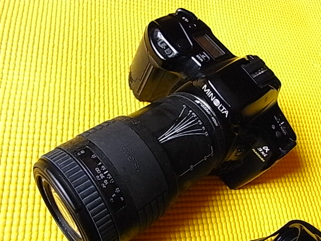 R0052592.JPG