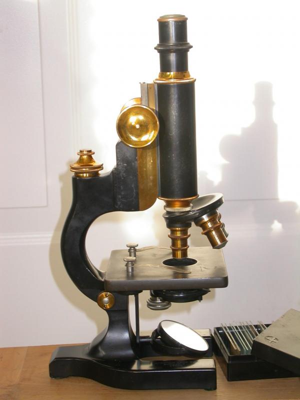 DSCN9650.JPG