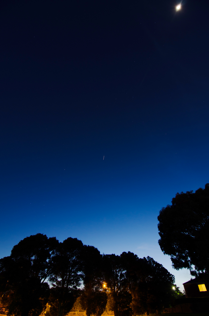 ZQA_3398s.jpg