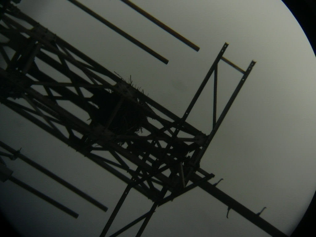 DSCN0042.JPG