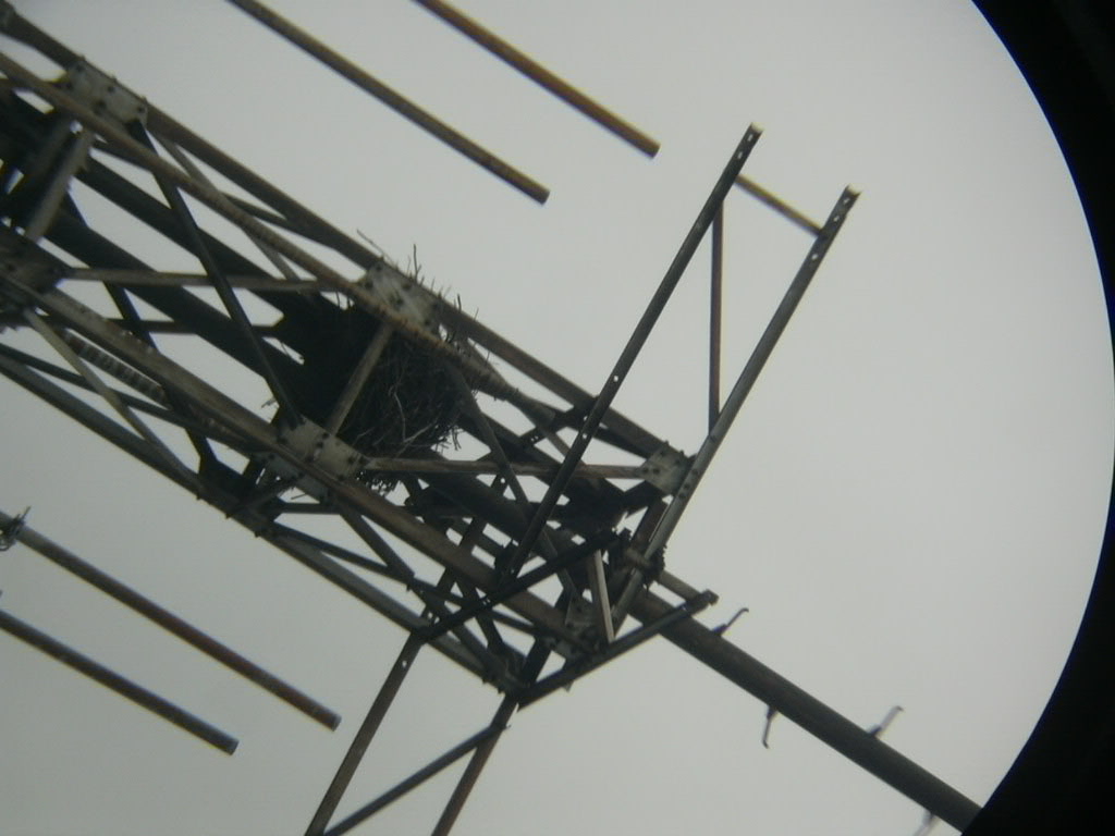DSCN0048.JPG