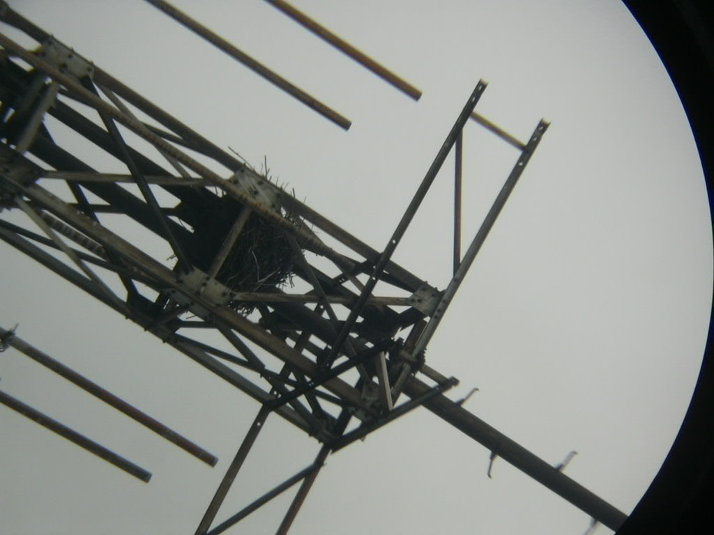 DSCN0050.JPG