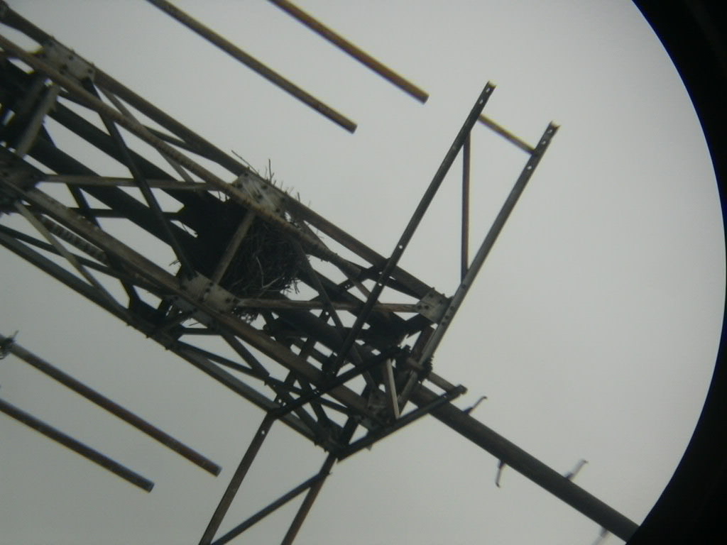 DSCN0051.JPG
