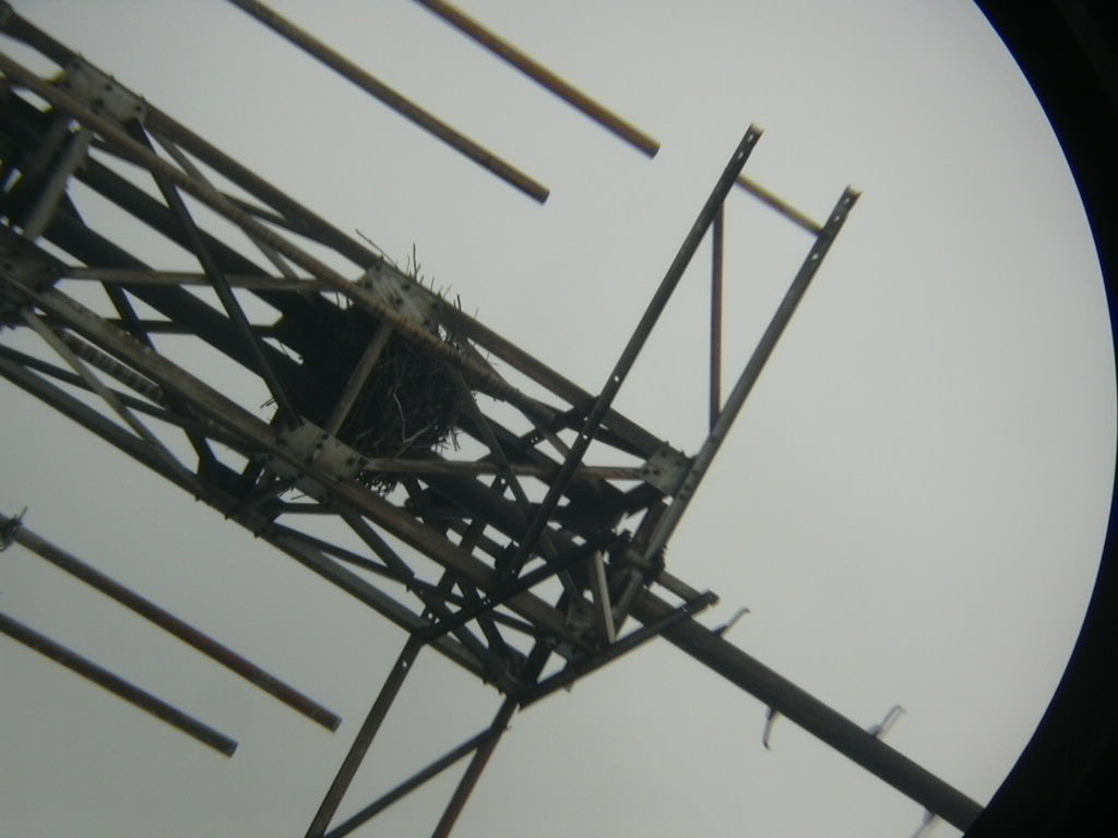 DSCN0052.JPG