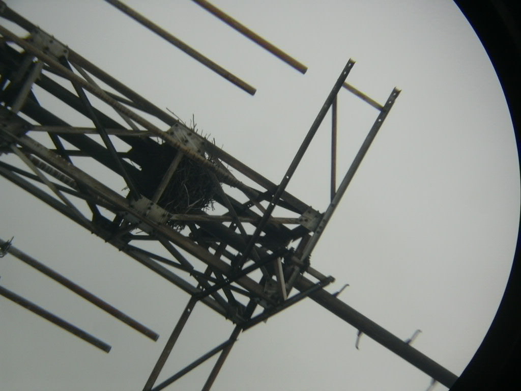 DSCN0053.JPG