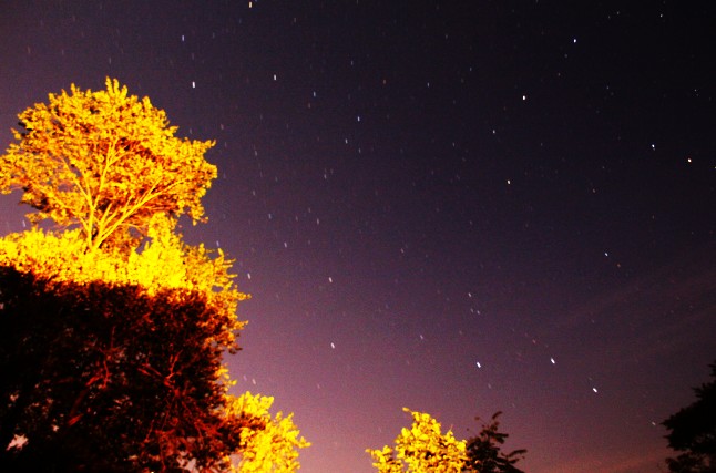 秋树与星空.jpg