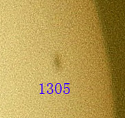 1305.jpg