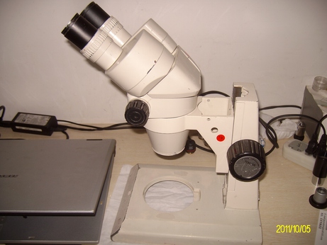 ALIM0447.jpg