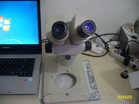 ALIM0444.jpg