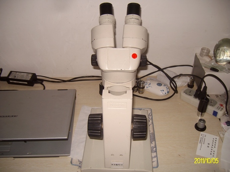 ALIM0446.jpg