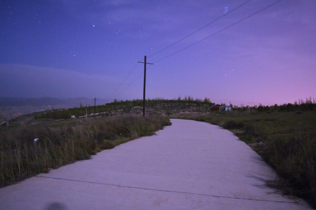夜晚小路上的景色