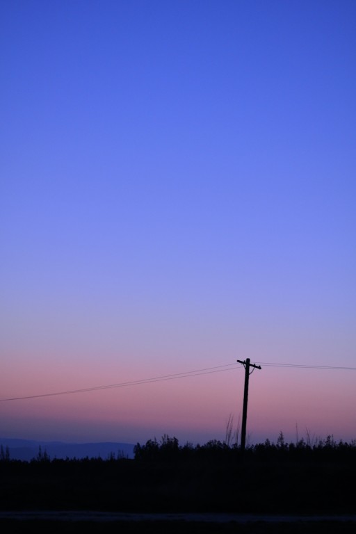 _DSC0110.jpg
