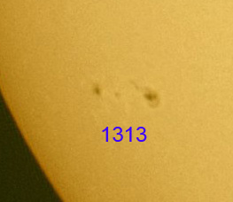 1313.jpg