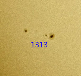 1313.jpg