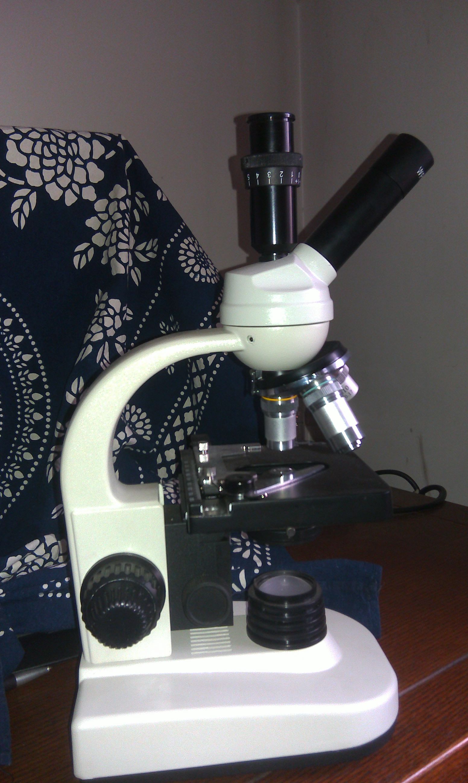 IMAG0214.jpg