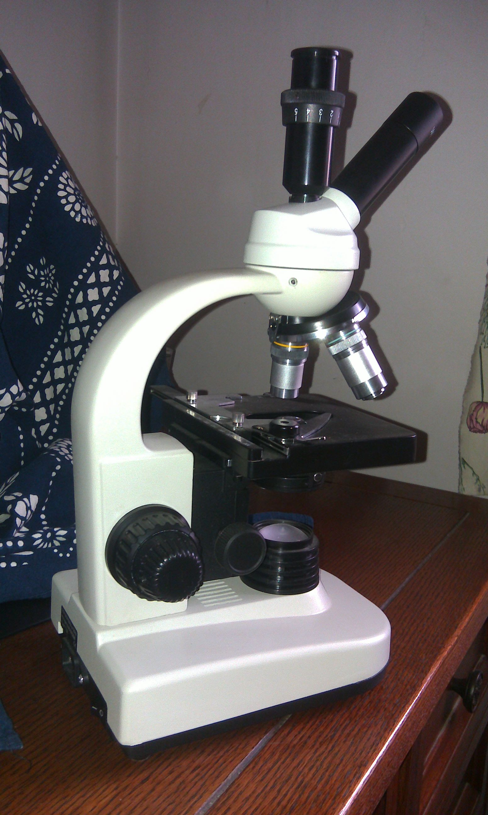 IMAG0215.jpg