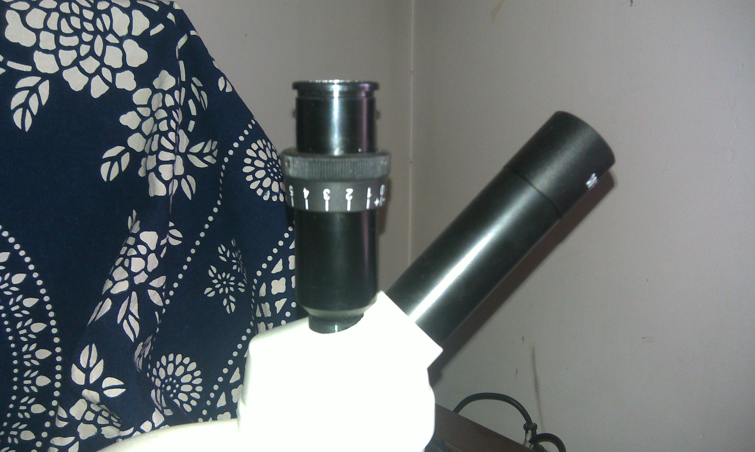 IMAG0217.jpg