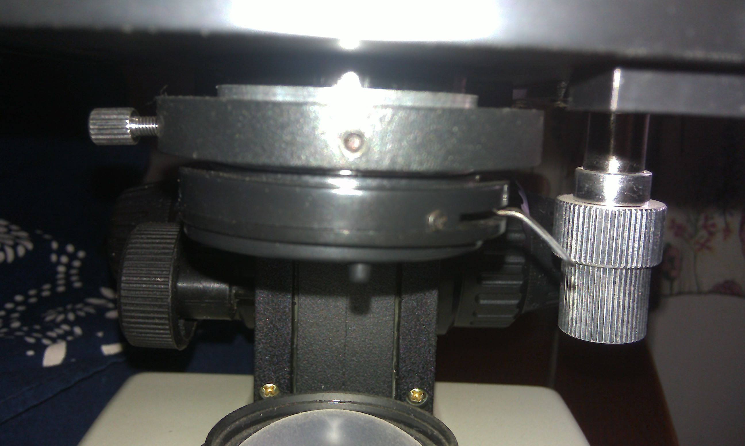 IMAG0222.jpg