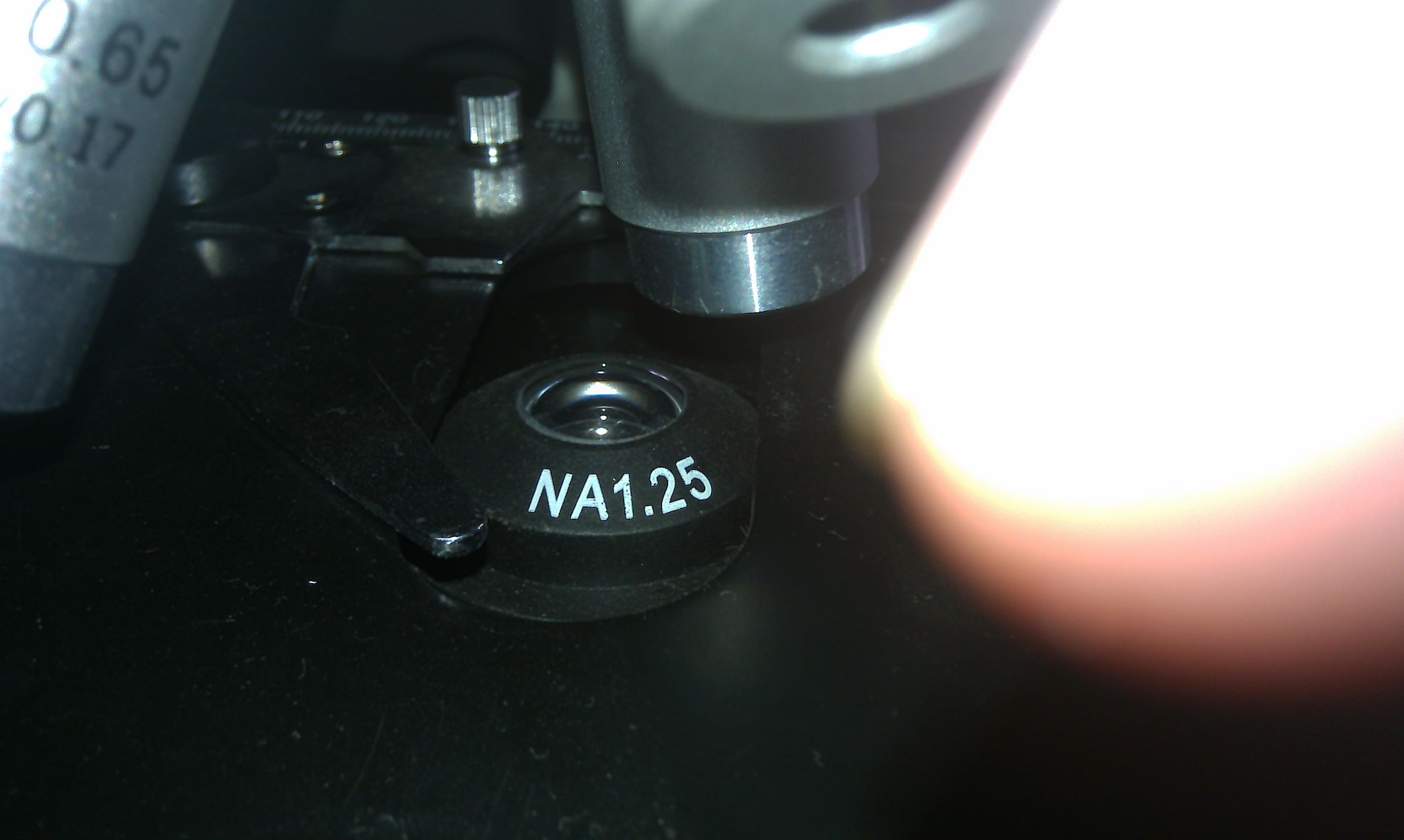 IMAG0223.jpg