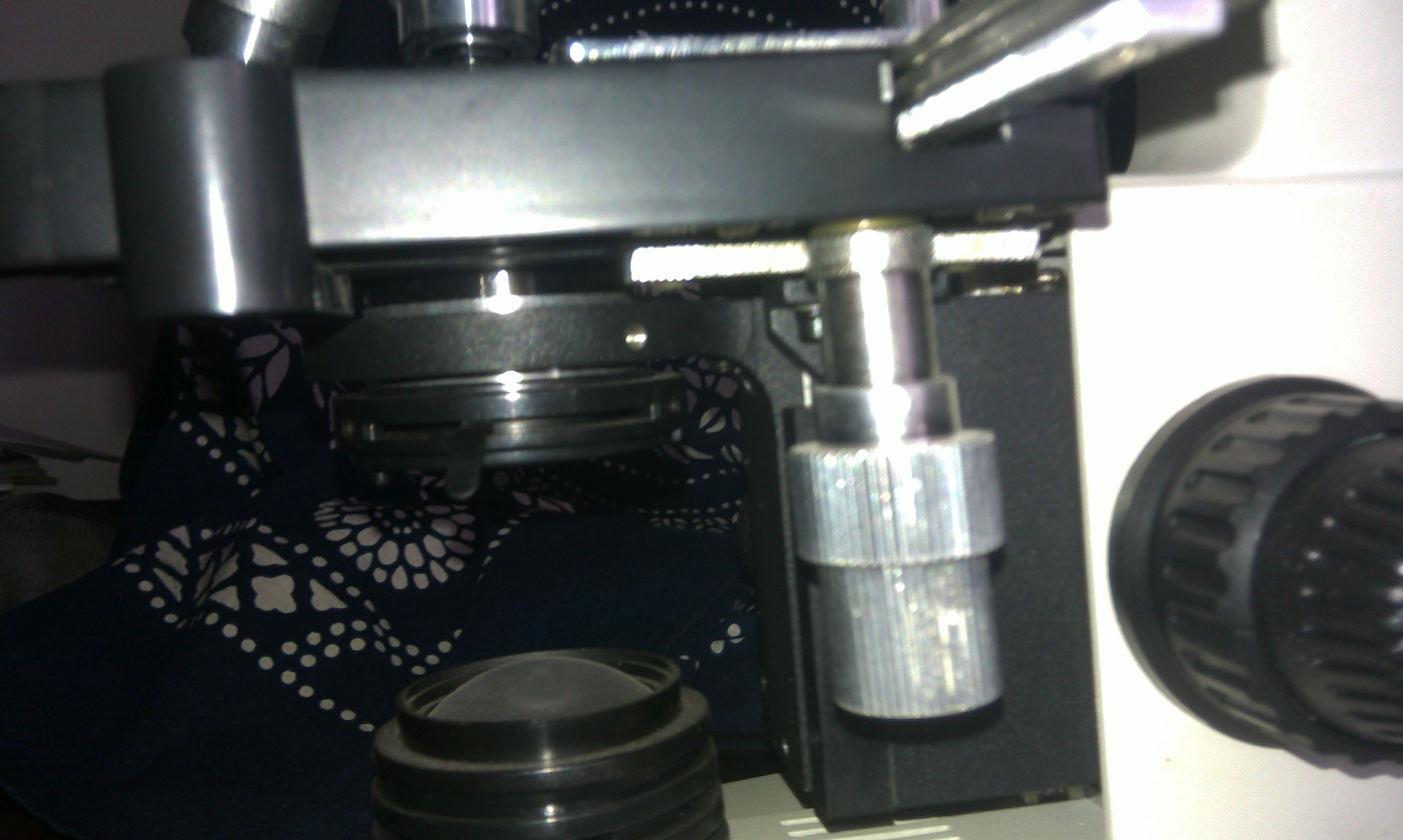 IMAG0224.jpg